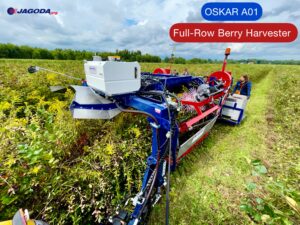 Aronia Harvester OSKAR A01