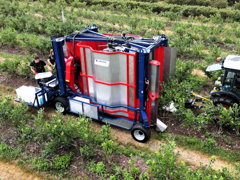 mechaniczny zbiór borówki amerykańskiej JAGODA 300 JAGODA JPS AGROAMCHINES