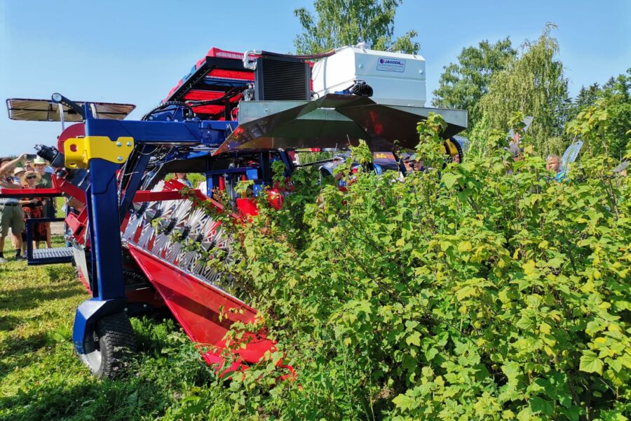 Kombajn Całorzędowy do Zbioru Owoców Jagodowych