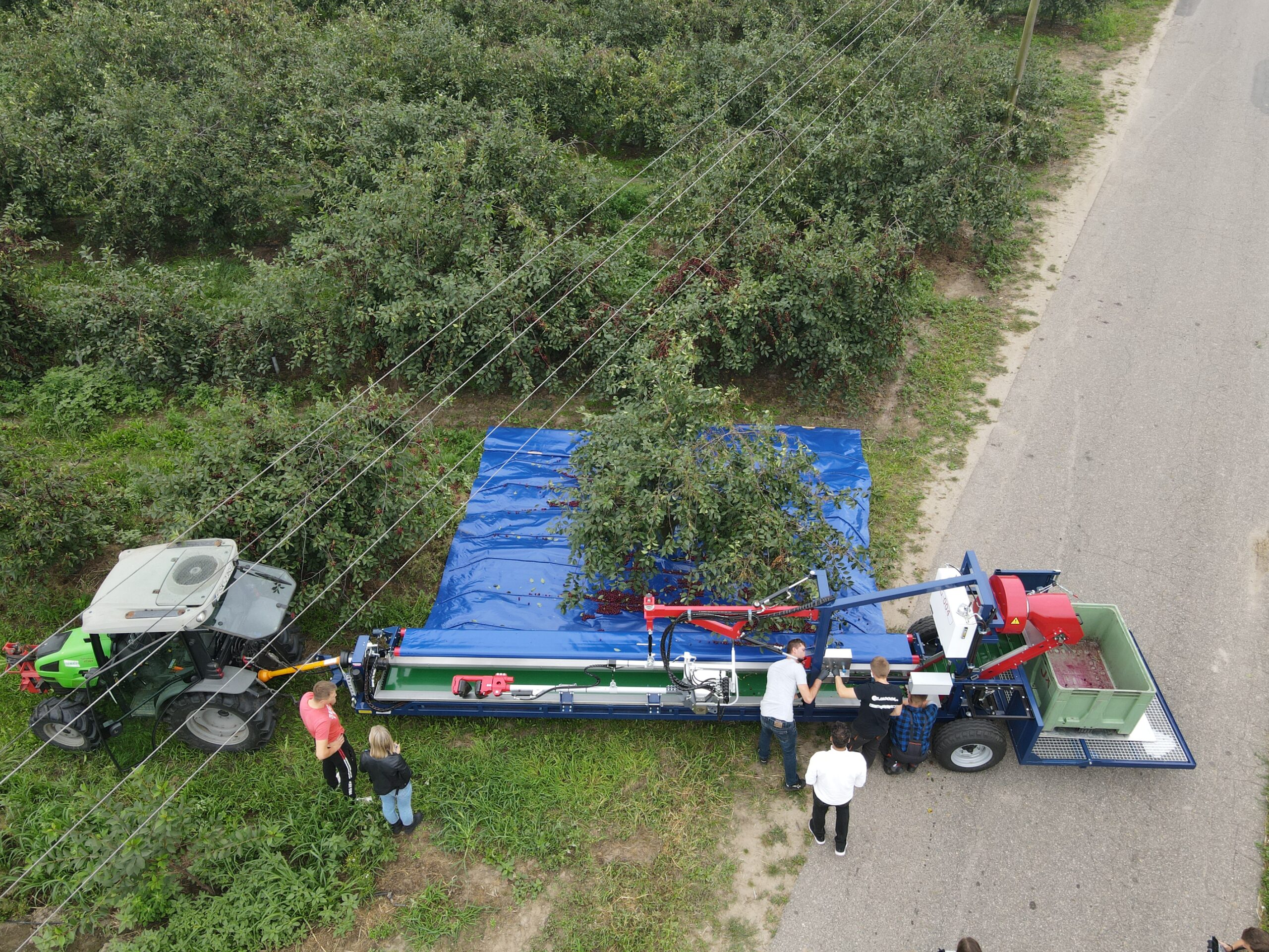 Zbiór mechaniczny wiśni agregatem otrząsającym G-004